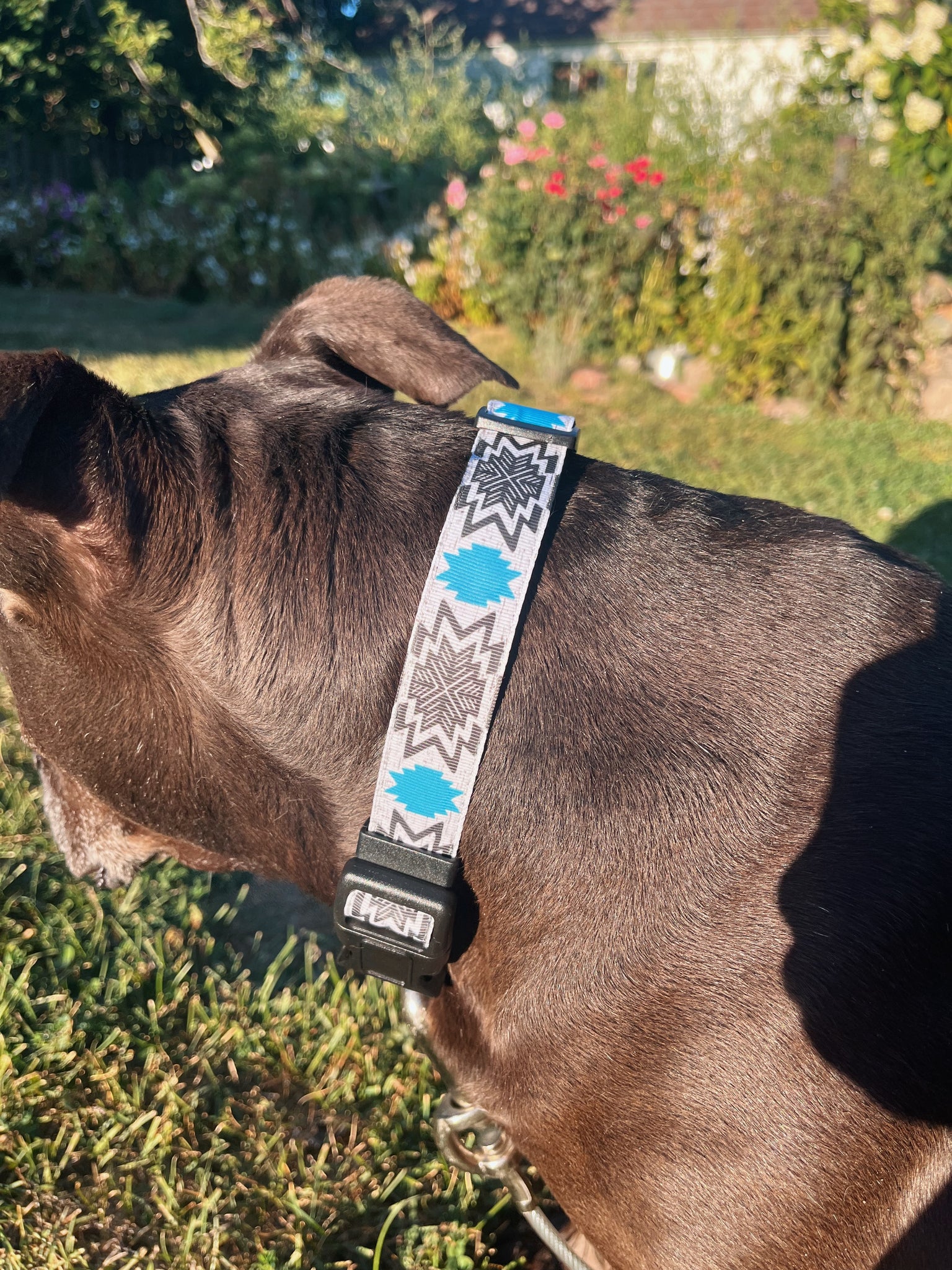 Blue Modern Aztec - Dog Collar – Chloe Feilmeier