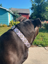 Load image into Gallery viewer, First Rodeo - Dog Collar
