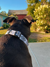 Load image into Gallery viewer, Subtle Aztec - Dog Collar

