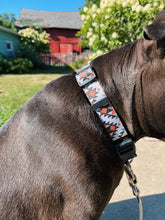Load image into Gallery viewer, Southwest Edge - Dog Collar
