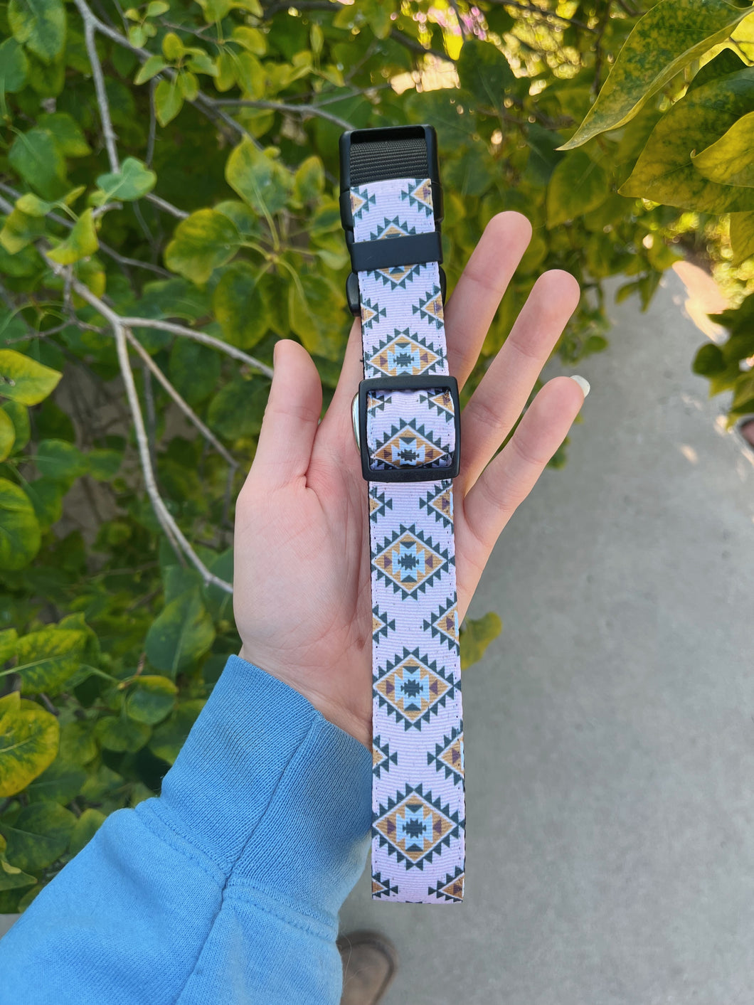 First Rodeo - Dog Collar