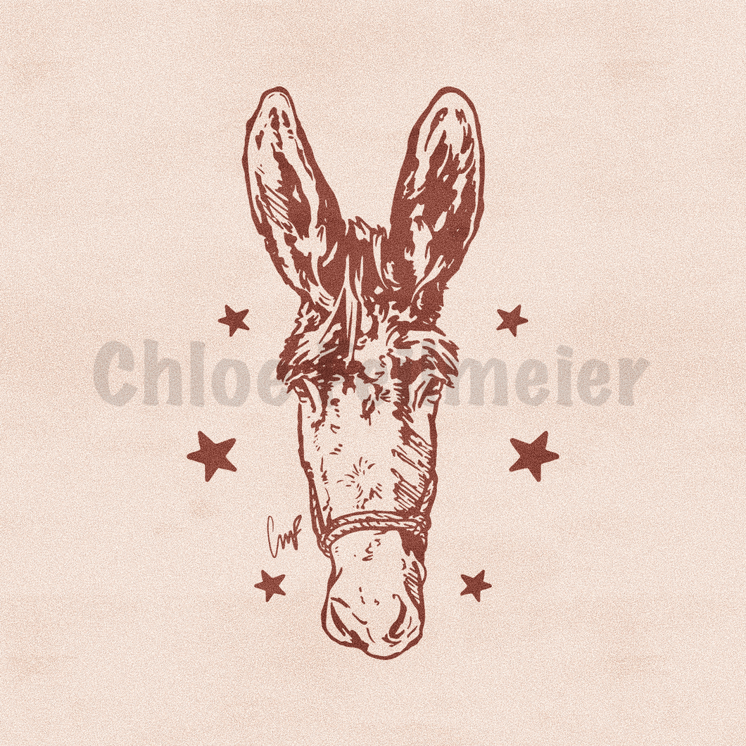 Donkey