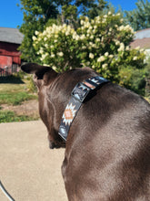 Load image into Gallery viewer, Aztec Dream - Dog Collar
