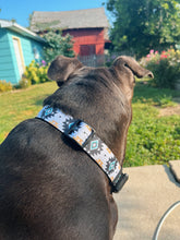 Load image into Gallery viewer, Tic Tac Aztec - Dog Collar
